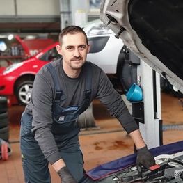 Bosch Service Weil am Rhein - Zeljko Mrkonjic